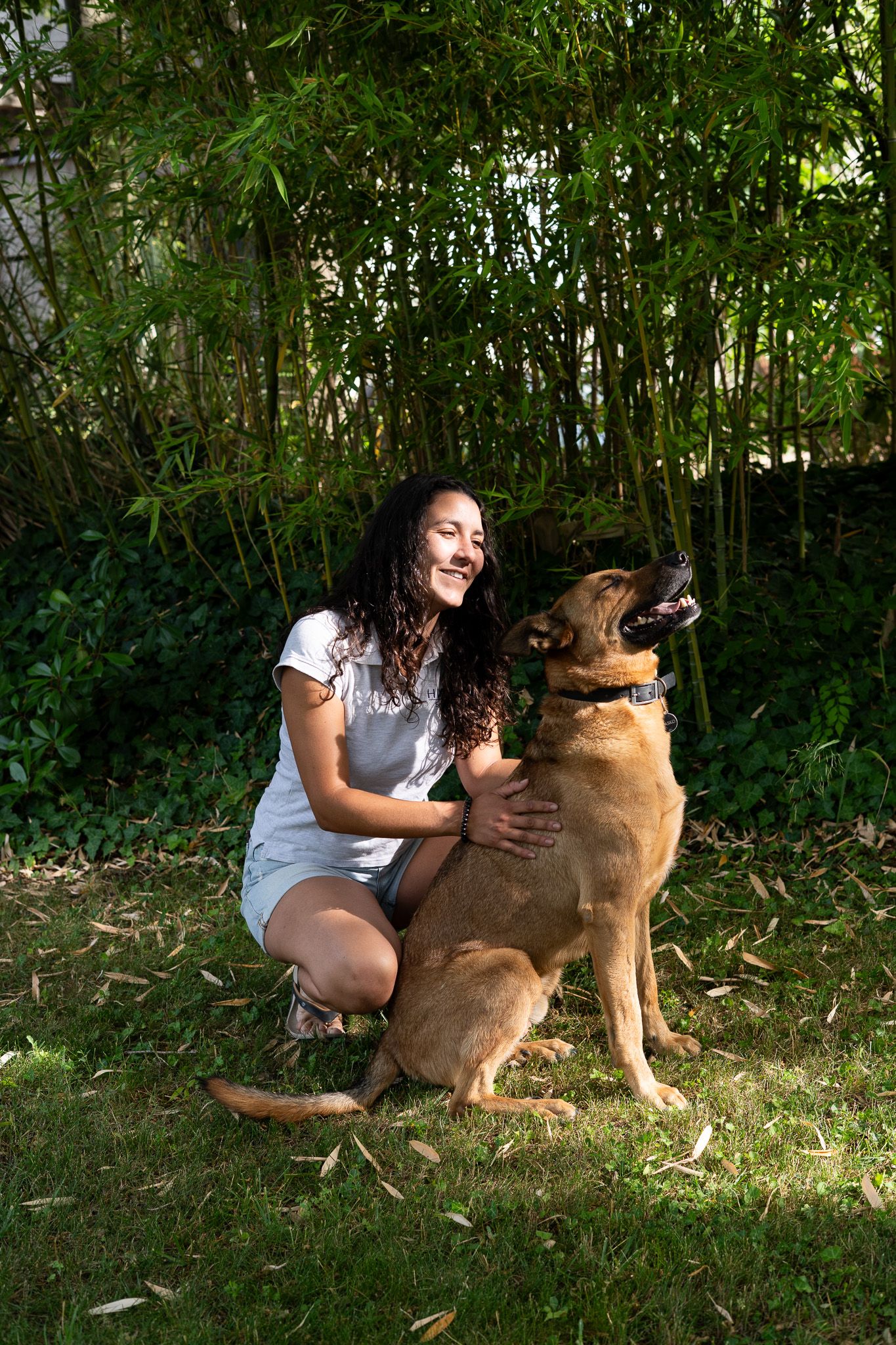 maitre, chien, seance, shiatsu,